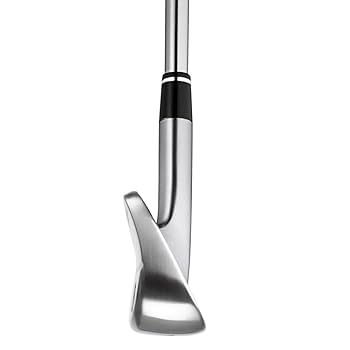 Amazon.co.jp: HONMA TW-X アイアンセット RH 4-10 グラフ